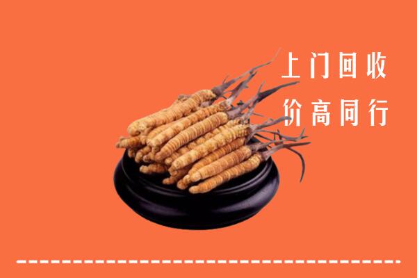 高价求购：西城回收散虫草