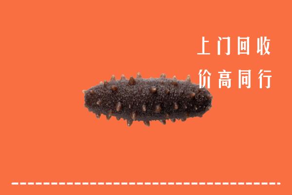 高价求购：西城回收海参