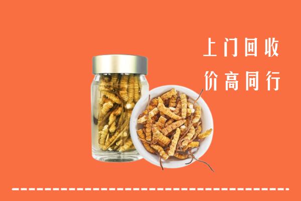 西城高价回收冬虫夏草